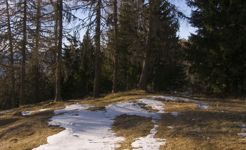 Cercando la neve.